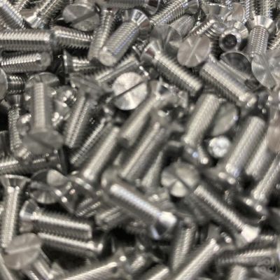 Countersunk slotted screws